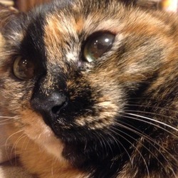 「なんて綺麗なんだろう。」サムネイル1