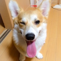 弥太郎