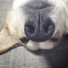 眠いなぁ>_<