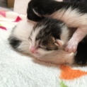 生まれたての赤ちゃんです！
