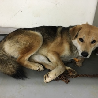 素敵な雰囲気のおぅくん！