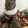 うるう年