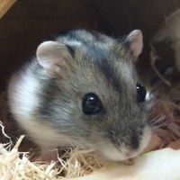 山田（通称:山ちゃん）}