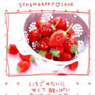 膝の上が大好き♪懐っこすぎて可愛い♪