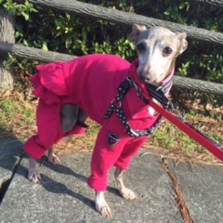 カノンの幸せを探しています