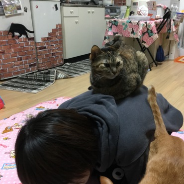 背中に