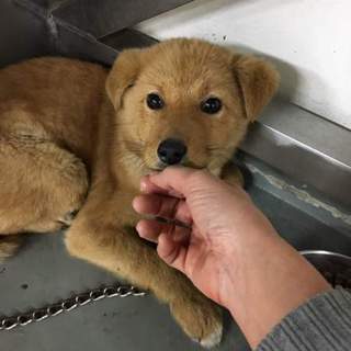 募集いったんストップします！