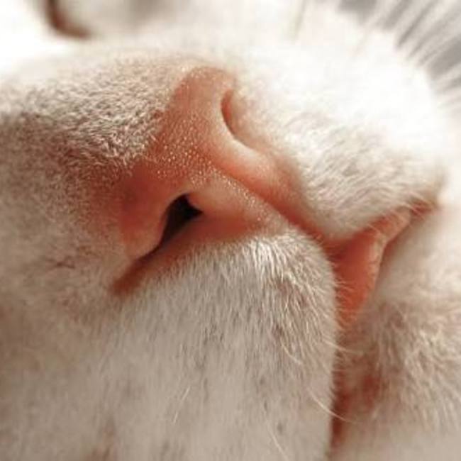 じおジュニアのカバー写真