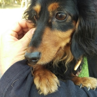 ありがとうございました☆甘えんぼメアリー。