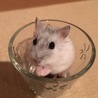 こっぺぱんまん