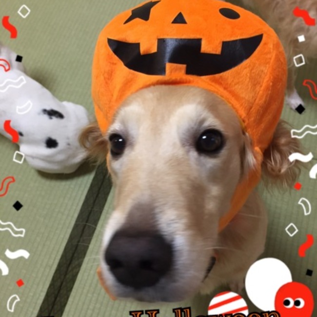 ミキティママのカバー写真