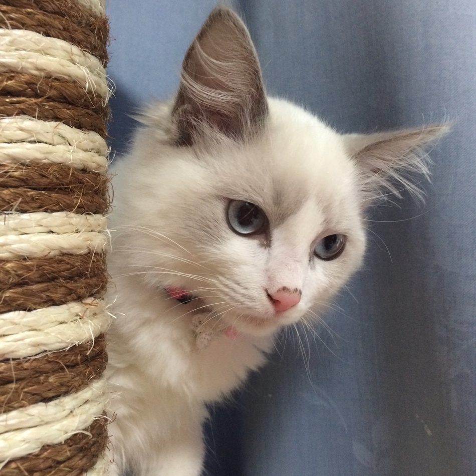 マリンのカバー写真