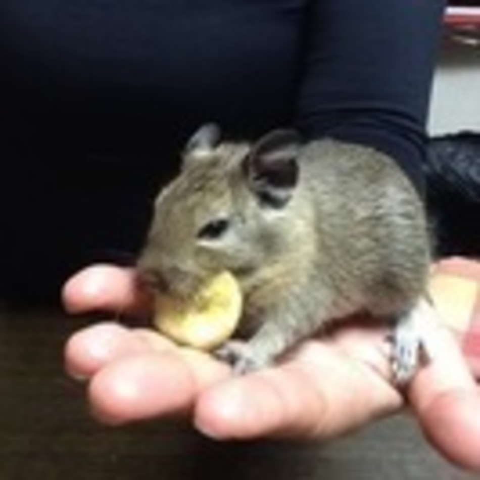 愛与(なると)のカバー写真