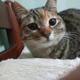 危険な地域なので帰る所がありません。