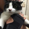 シュトロハイム