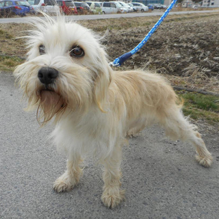 家族が出来たよ♪