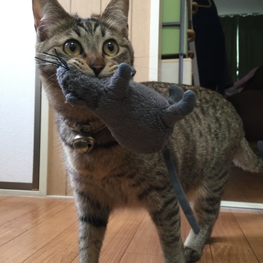 ゆずの写真