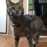 の写真