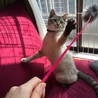 の写真