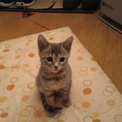 「狙ってます！」サムネイル2