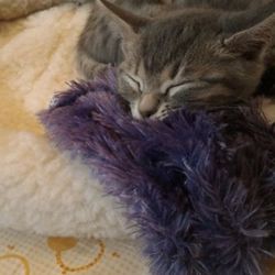 「狙ってます！」サムネイル3