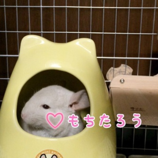 MIEKO141のカバー写真