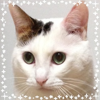 足にハンディ♪元気くん♪