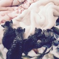 生後一ヶ月くらいの子猫ちゃん