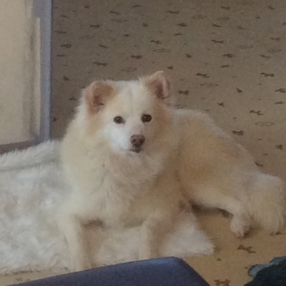 お申し込みを頂いております。募集一時停止