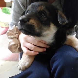 １月19日生まれのエルちゃん