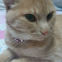 るん