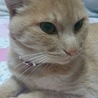 るん
