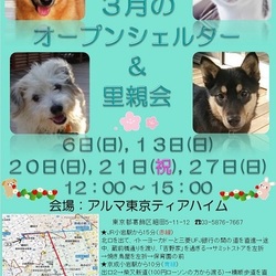 ティアハイムオープンシェルター里親会 サムネイル3