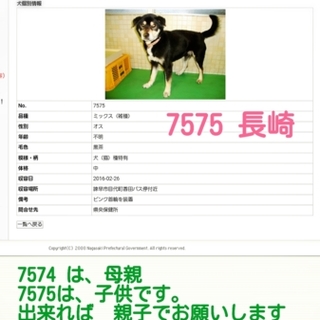 飼い主返還になりました　ありがとうございました