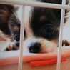 yuki.12.29