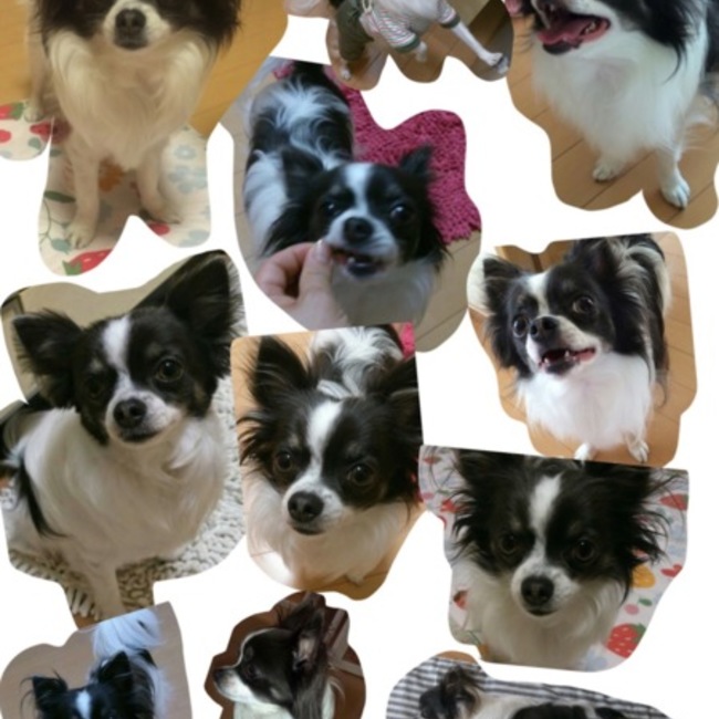 yuki.12.29のカバー写真