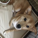 ご応募ありがとうございました。