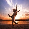 サヴァ坊