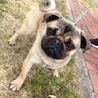 芋田犬吉 さん