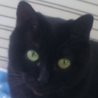 Teko_chan