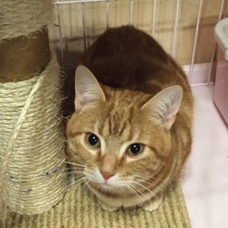 たくさんの応募ありがとうございました！