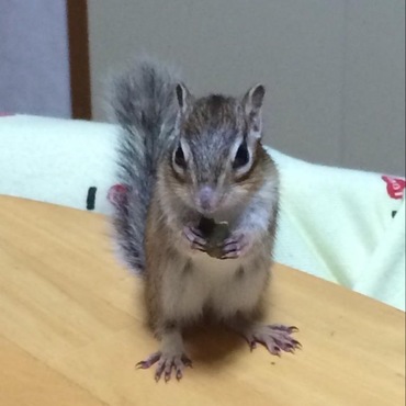 の写真