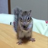 の写真