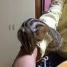 の写真