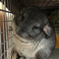 まだまだやんちゃな子です