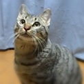 可愛いい声で鳴く男子です♪