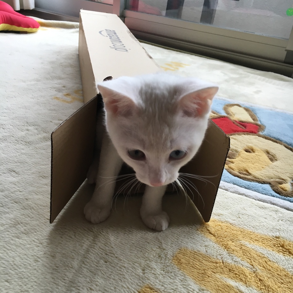 くららのカバー写真