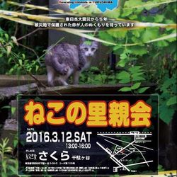 第3回ＲＡＩＦ　ＥＡＳＴ里親会