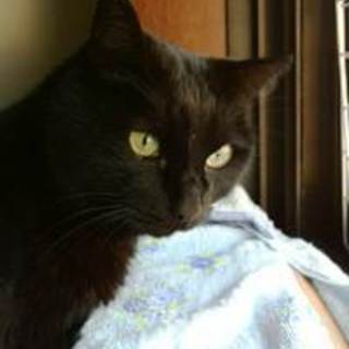 たけちゃん　ちょっと臆病な男の子です