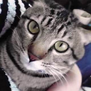 Komaru　ちょっと臆病な男の子